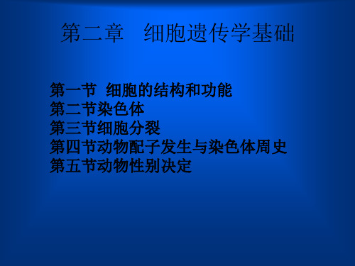 细胞遗传学基础