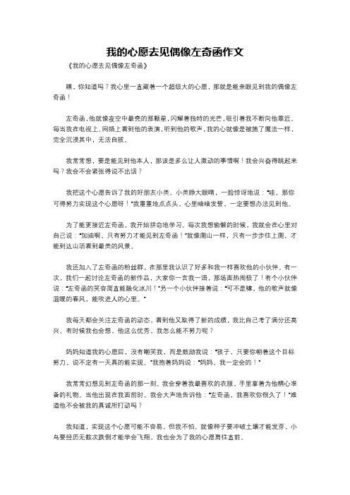 我的心愿去见偶像左奇函作文