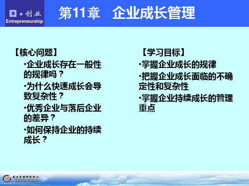 第11章 企业成长管理.ppt