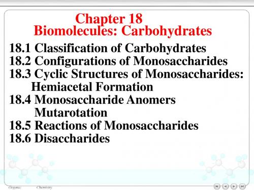 英文课件：糖Carbohydrates