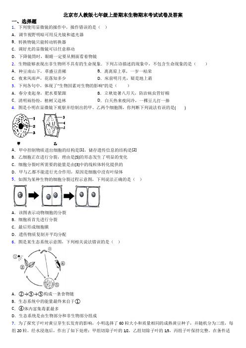 北京市人教版七年级上册期末生物期末考试试卷及答案