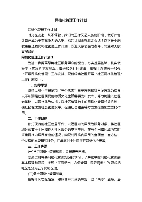 网格化管理工作计划