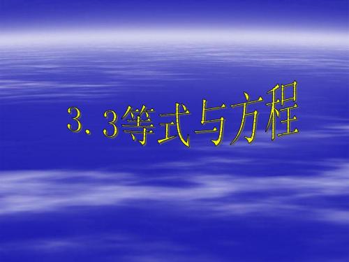 3.3等式与方程课件