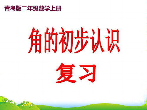 二年级数学上册 角的初步认识(复习)课件 青岛