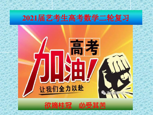 2021届艺考生高考数学二轮复习课件：第二章  函数、导数及其应用(12课时)