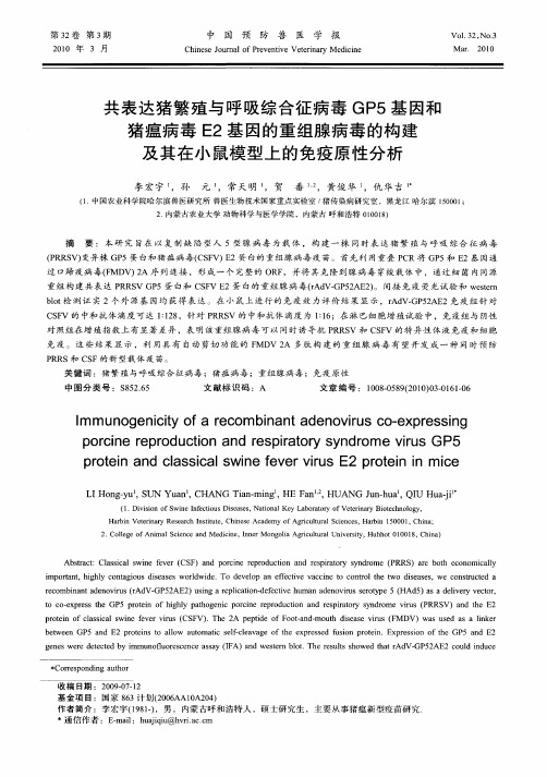 共表达猪繁殖与呼吸综合征病毒GP5基因和猪瘟病毒E2基因的重组腺病毒的构建及其在小鼠模型上的免疫原性