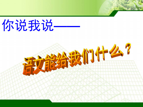 高一语文起始课ppt课件(1).ppt