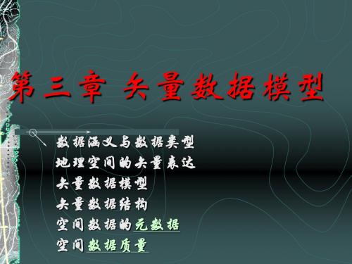 地理信息系统3 矢量数据模型汇总