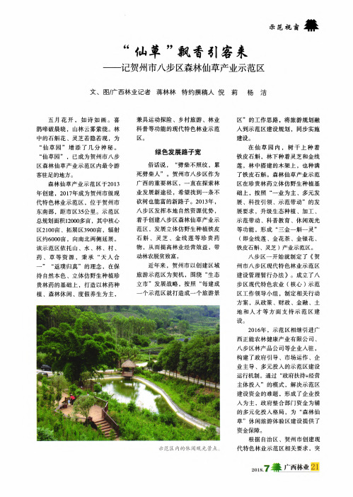 “仙草”飘香引客来——记贺州市八步区森林仙草产业示范区