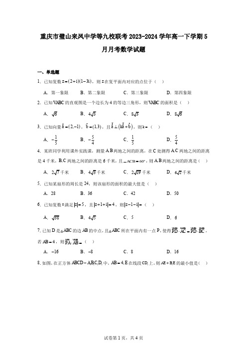 重庆市璧山来凤中学等九校联考2023-2024学年高一下学期5月月考数学试题