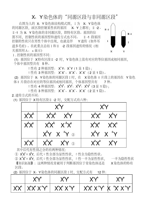 XY染色体的同源区段与非同源区段