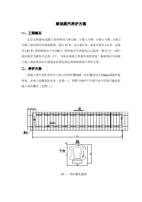 北京东路预制箱梁蒸汽养护方案