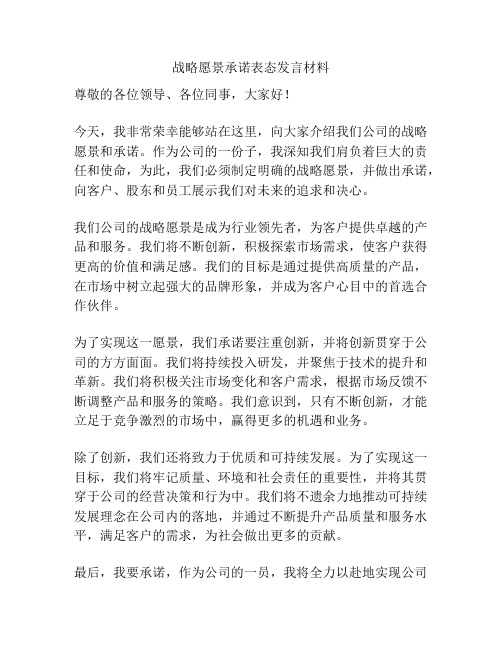 战略愿景承诺表态发言材料