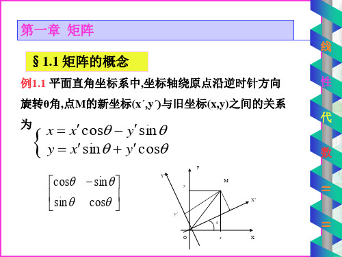 线性代数教学课件：矩阵的概念