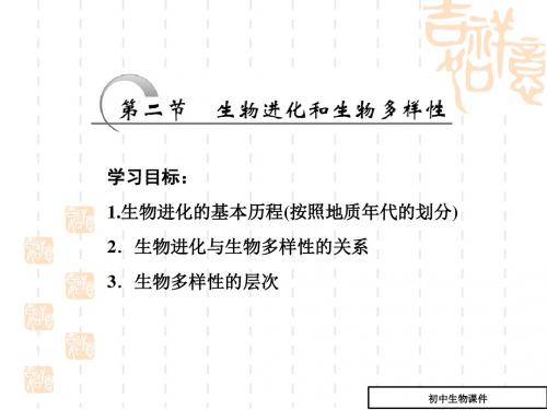 高一生物苏教版必修二课件：第五章_第二节_生物进化和生物多样性