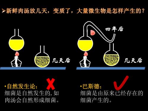 第一单元 1-3 生物学的研究方法