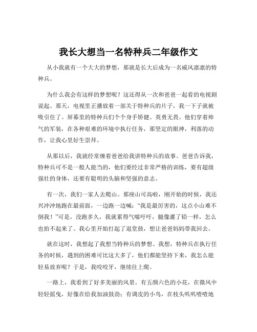 我长大想当一名特种兵二年级作文