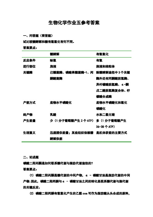 糖代谢部分的作业参考答案