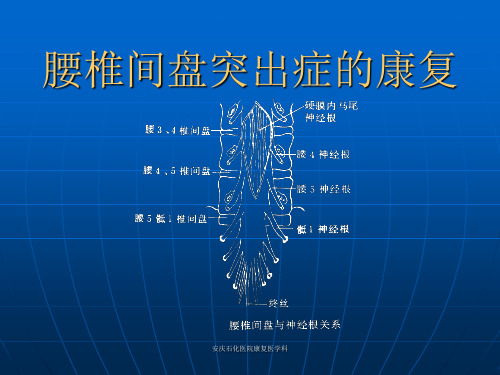 (康复医学科)腰椎间盘突出症的康复