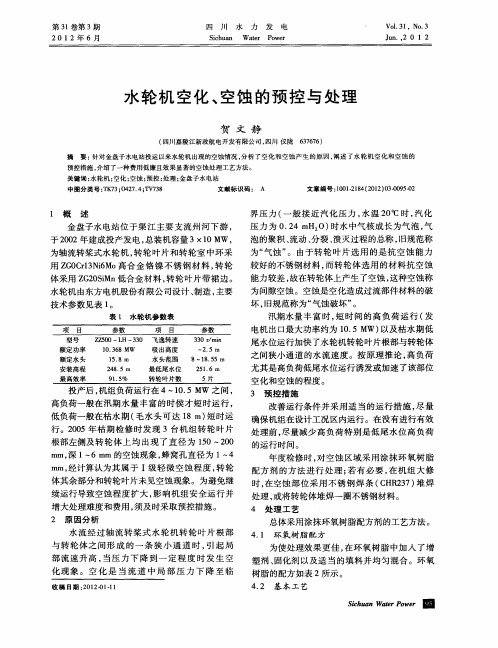 水轮机空化、空蚀的预控与处理