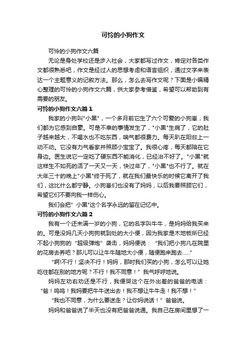 可怜的小狗作文六篇