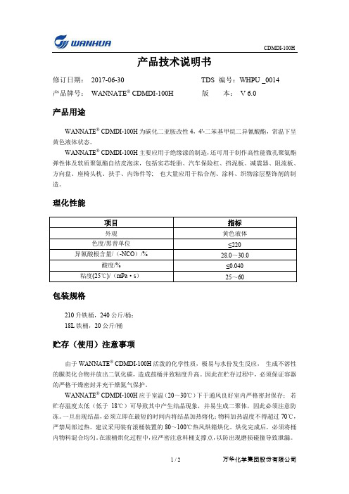 CDMDI-100H产品技术说明书