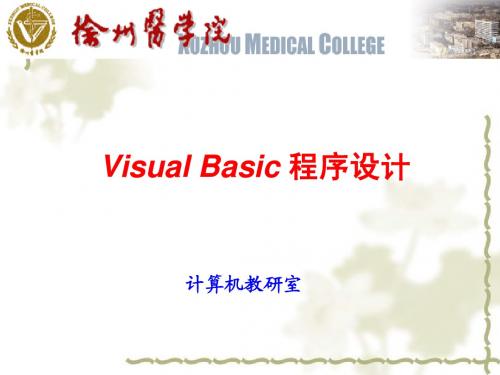 第1章：Visual Basic程序设计概述