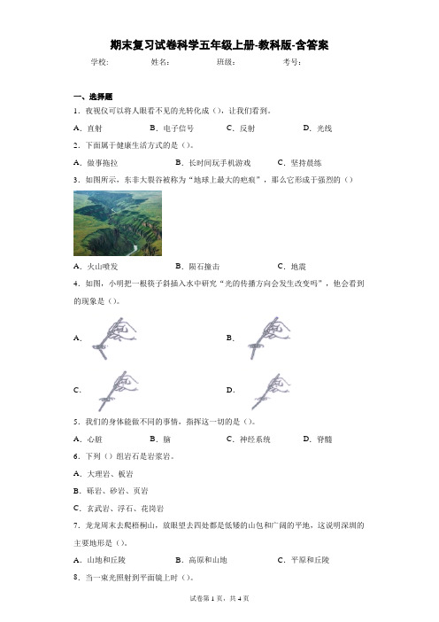 教科版五年级科学小学科学期末复习试卷