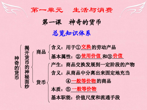 高三政治高考一轮复习 第一课 神奇的货币课件 新人教版必修1