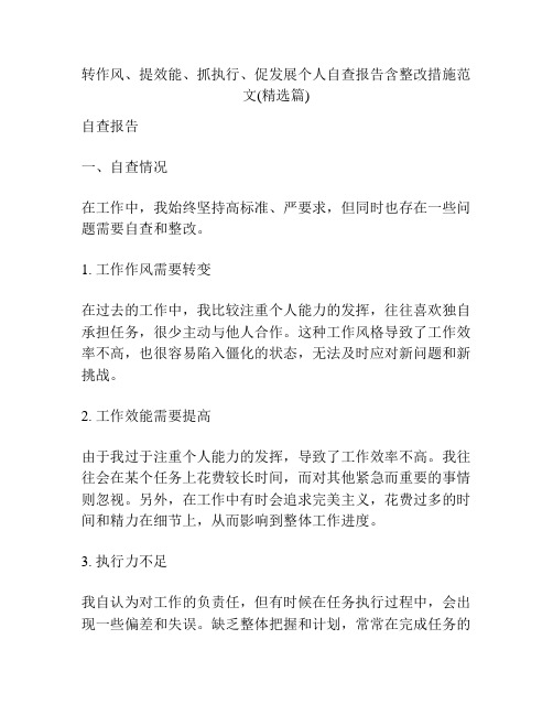 转作风、提效能、抓执行、促发展个人自查报告含整改措施范文(精选篇)