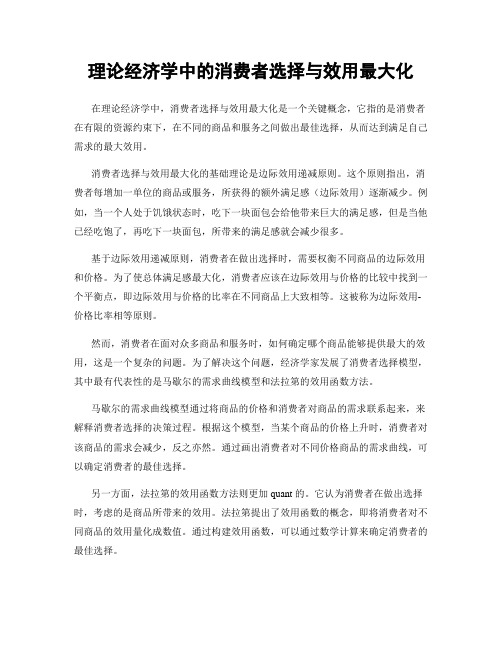 理论经济学中的消费者选择与效用最大化