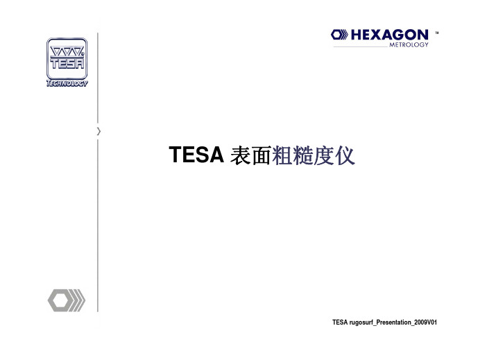 TESA表面粗糙度测量仪