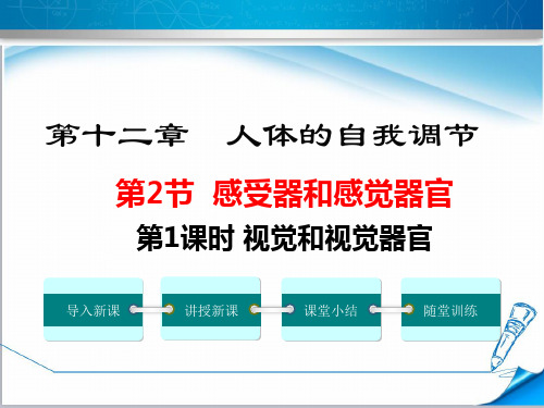 【北师大版教材适用】初一生物下册《视觉和视觉器官》课件