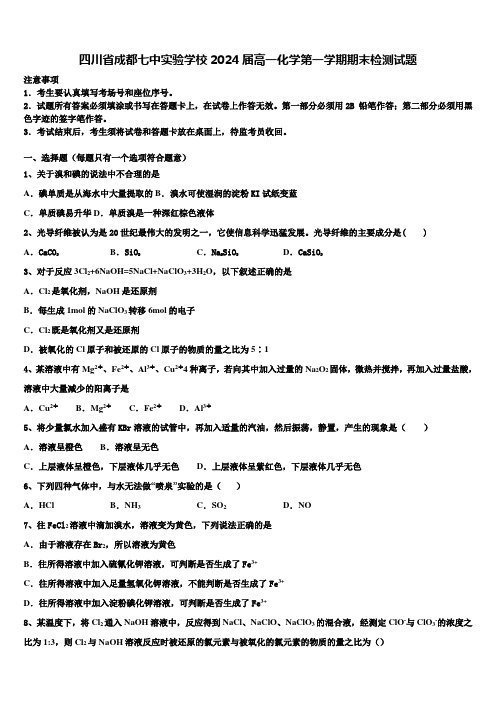 四川省成都七中实验学校2024届高一化学第一学期期末检测试题含解析