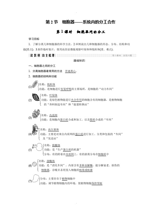 人教版高中生物必修一学案：3.2.1 细胞器之间的分工 Word版含答案