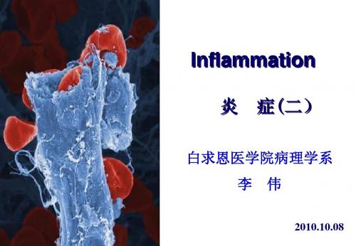 嗜酸性粒细胞EosinophilicleukocyteFunctionsofleukocytes