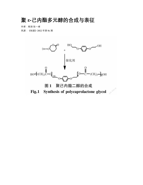 聚ε-己内酯多元醇的合成与表征