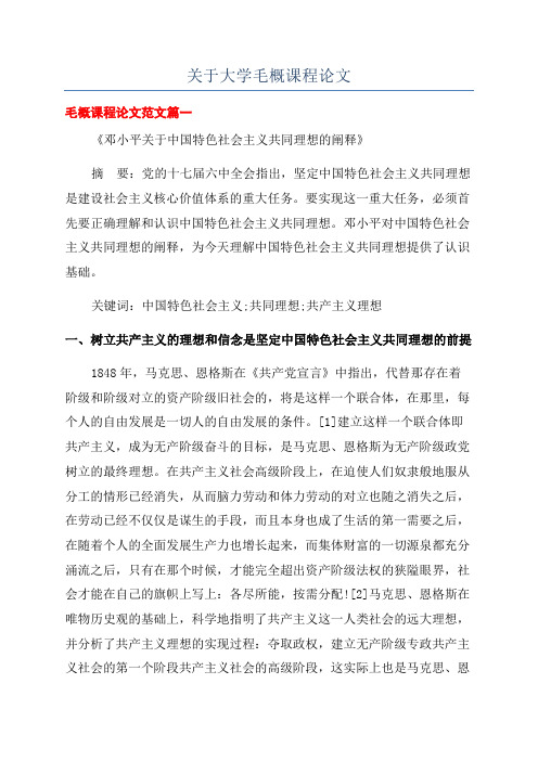 关于大学毛概课程论文