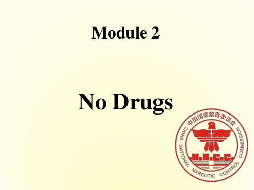 辽宁省沈阳市第二十一中学高中英语 Module 2 No Drugs Grammar课件 外研版必修2