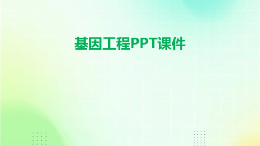 基因工程ppt课件高三