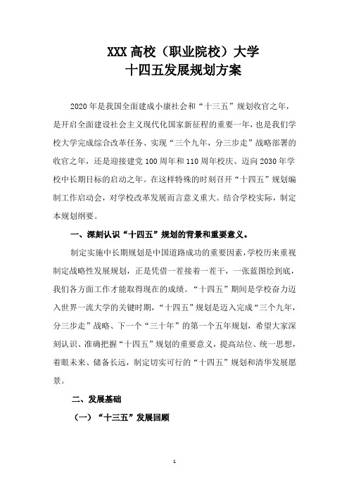 XXX高校(职业院校)大学十四五发展规划方案