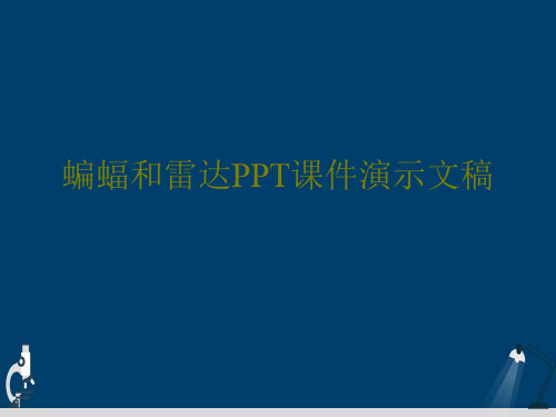 蝙蝠和雷达PPT课件演示文稿