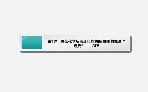 高考生物 一轮复习 5.1 降低化学反应活化能的酶 细胞的能量“通货”——ATP 新人教必修1