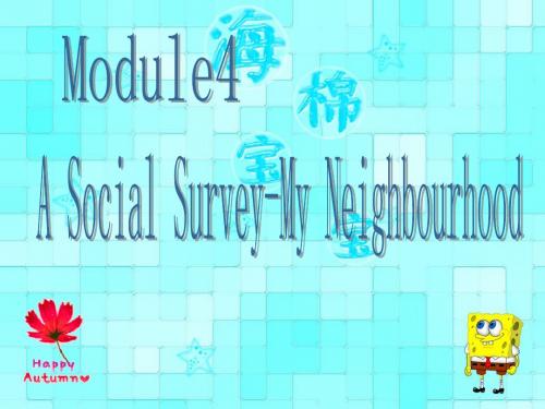 Module 4 A social survey my neibourhood