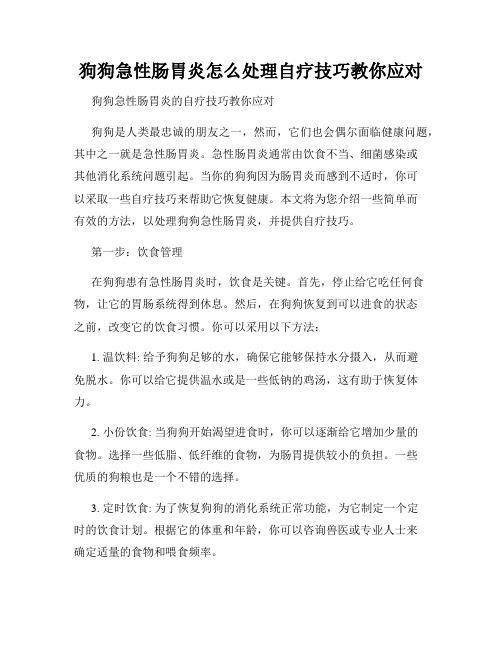 狗狗急性肠胃炎怎么处理自疗技巧教你应对