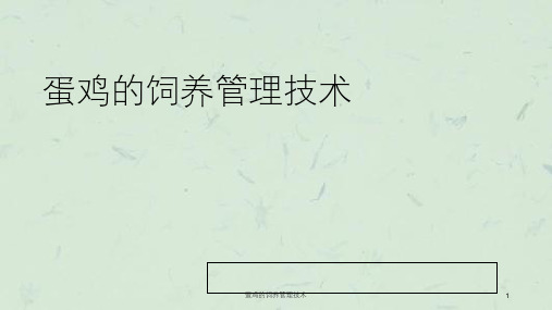 蛋鸡的饲养管理技术课件