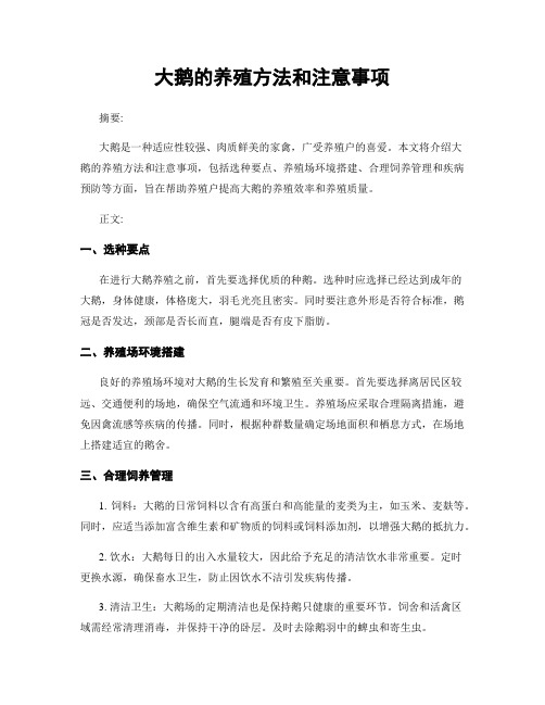 大鹅的养殖方法和注意事项