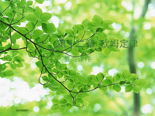 中考物理复习 第十二章 欧姆定律物理课件1