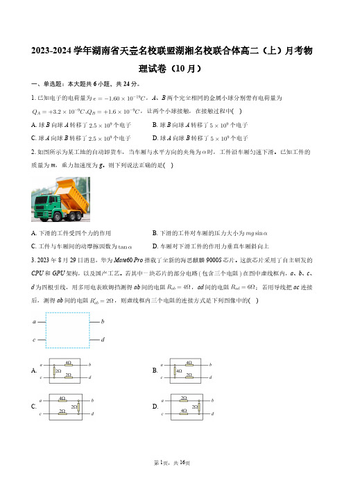 2023-2024学年湖南省天壹名校联盟湖湘名校联合体高二(上)月考物理试卷(10月)+答案解析