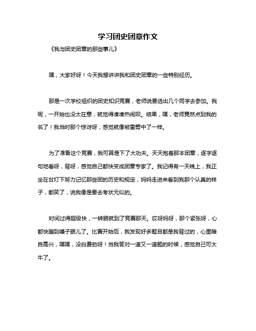 学习团史团章作文